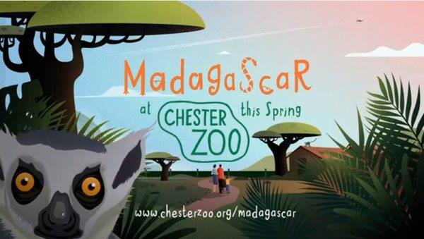 Chestertourist.com - Discover The Tale of Madagascar